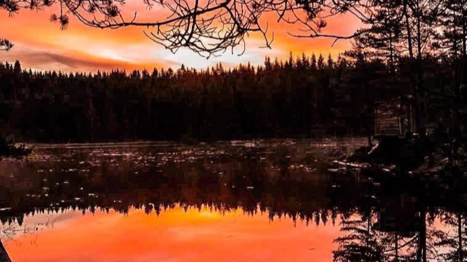 Soloppgang Treetop Island Villmark