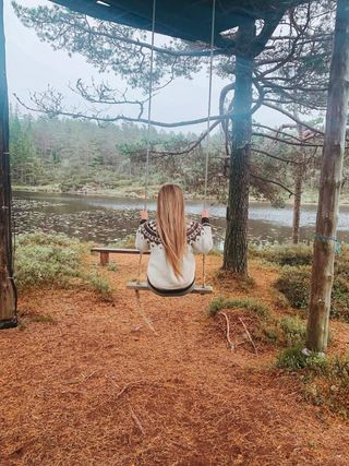 runse på tretopphytta