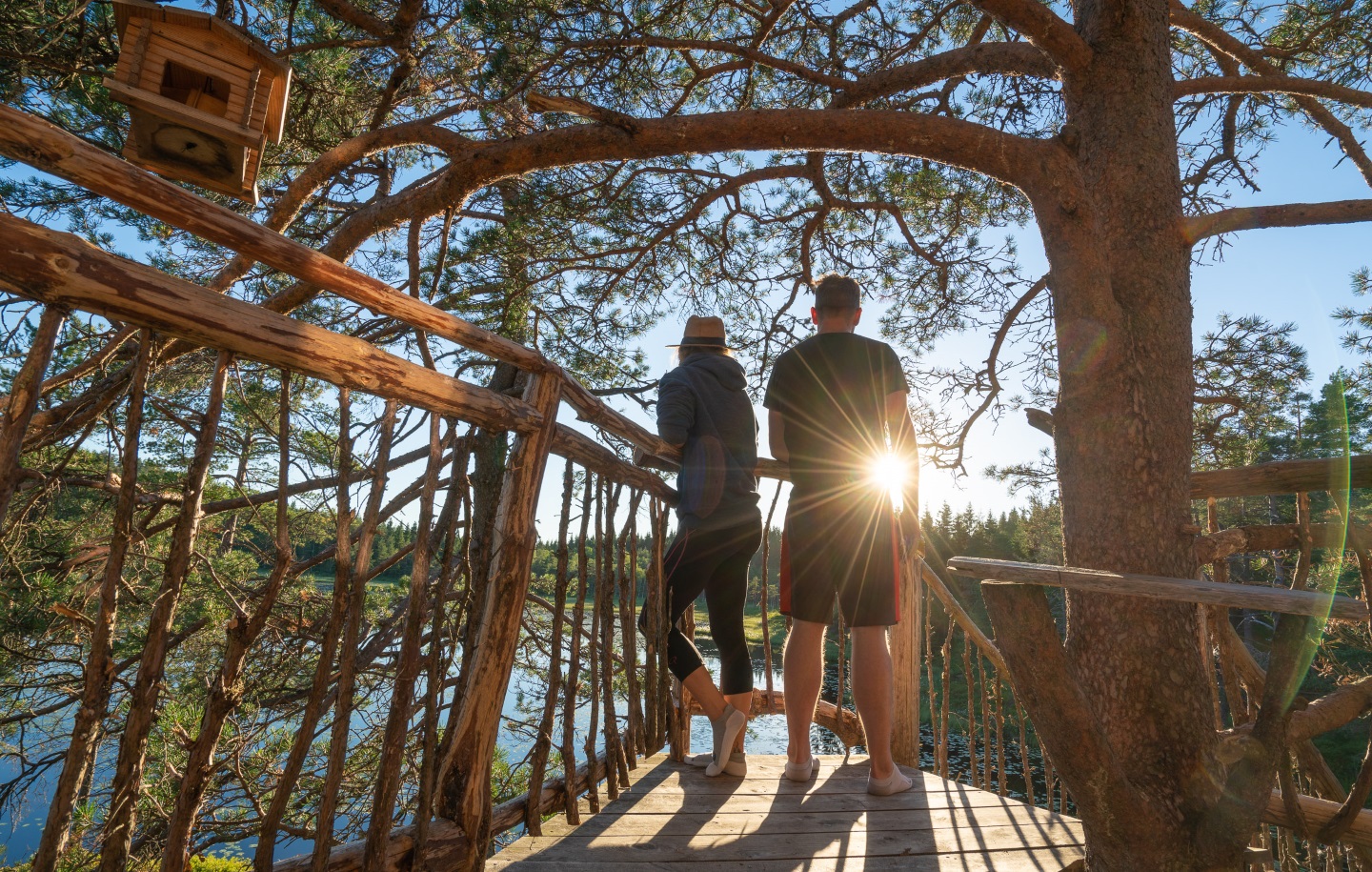 Plattform Island Hut Treetop Fidda