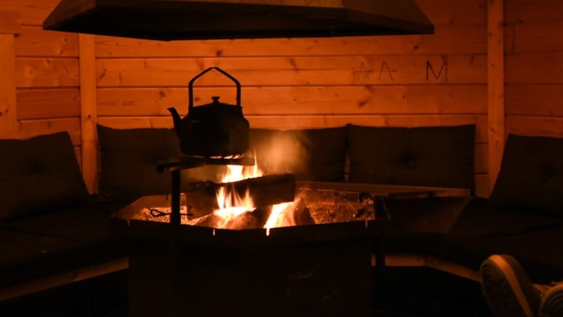 Solnedgang Utsikt Innsjoen Treetop Island