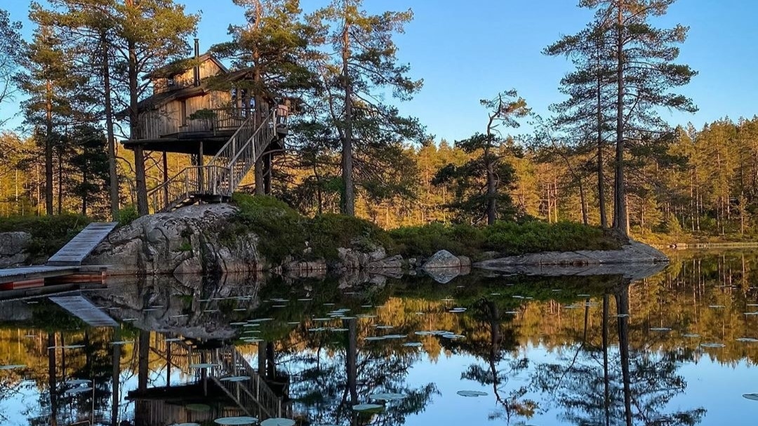 Treetop Island – Your Private Forest Retreat