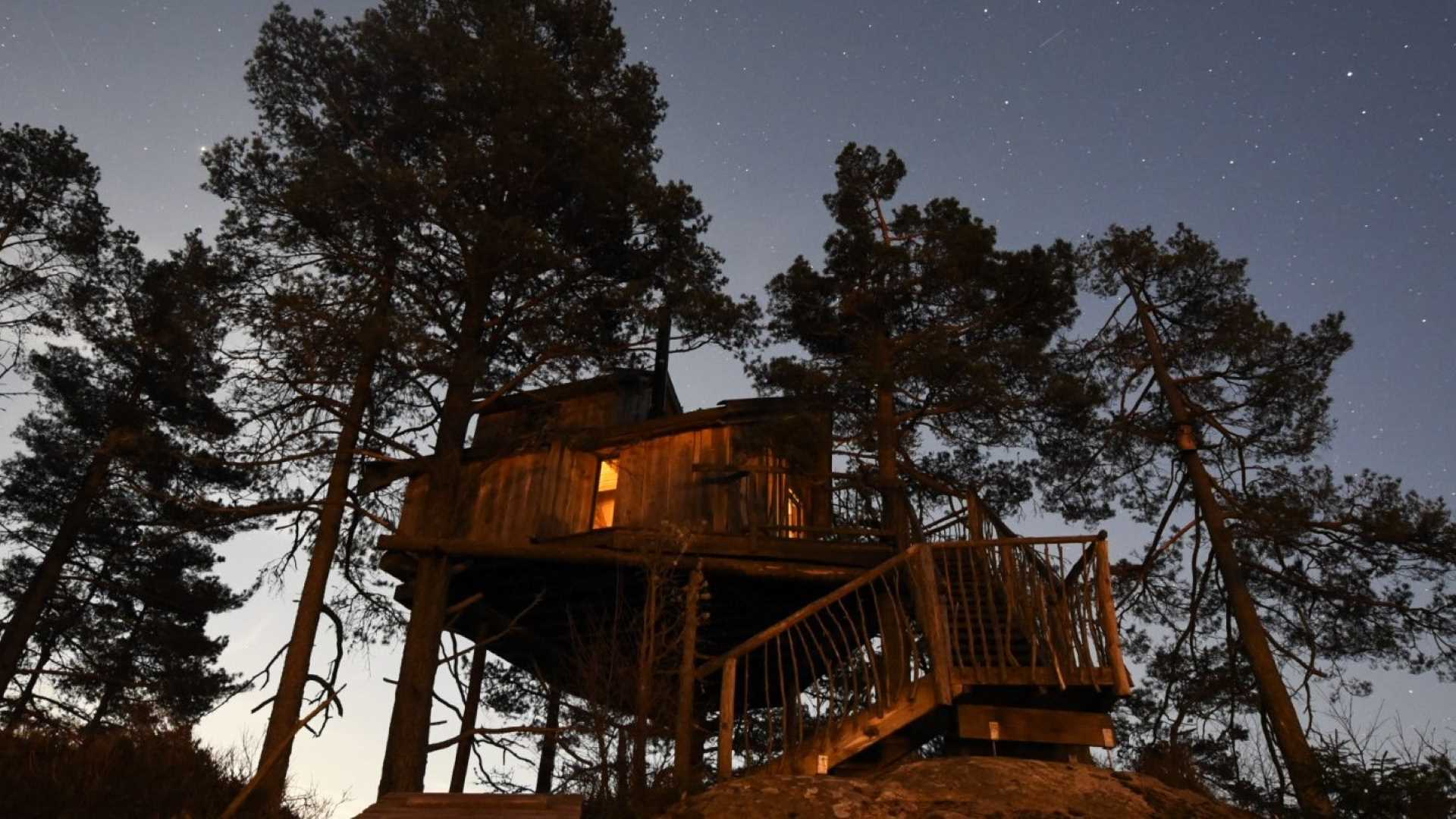 Tretopphytta Opplyst Kveldsstemning