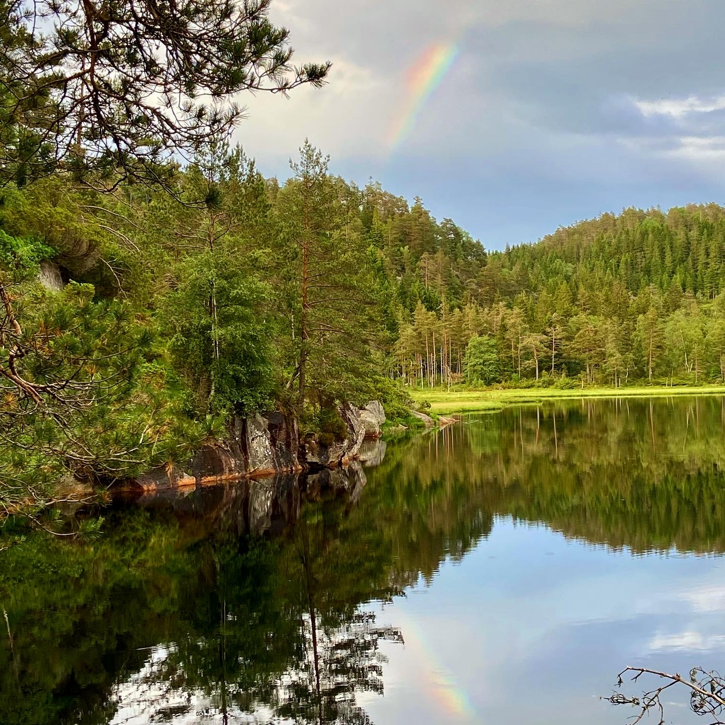 Speilblank innsjø omgitt av skog i Sørlandets natur.