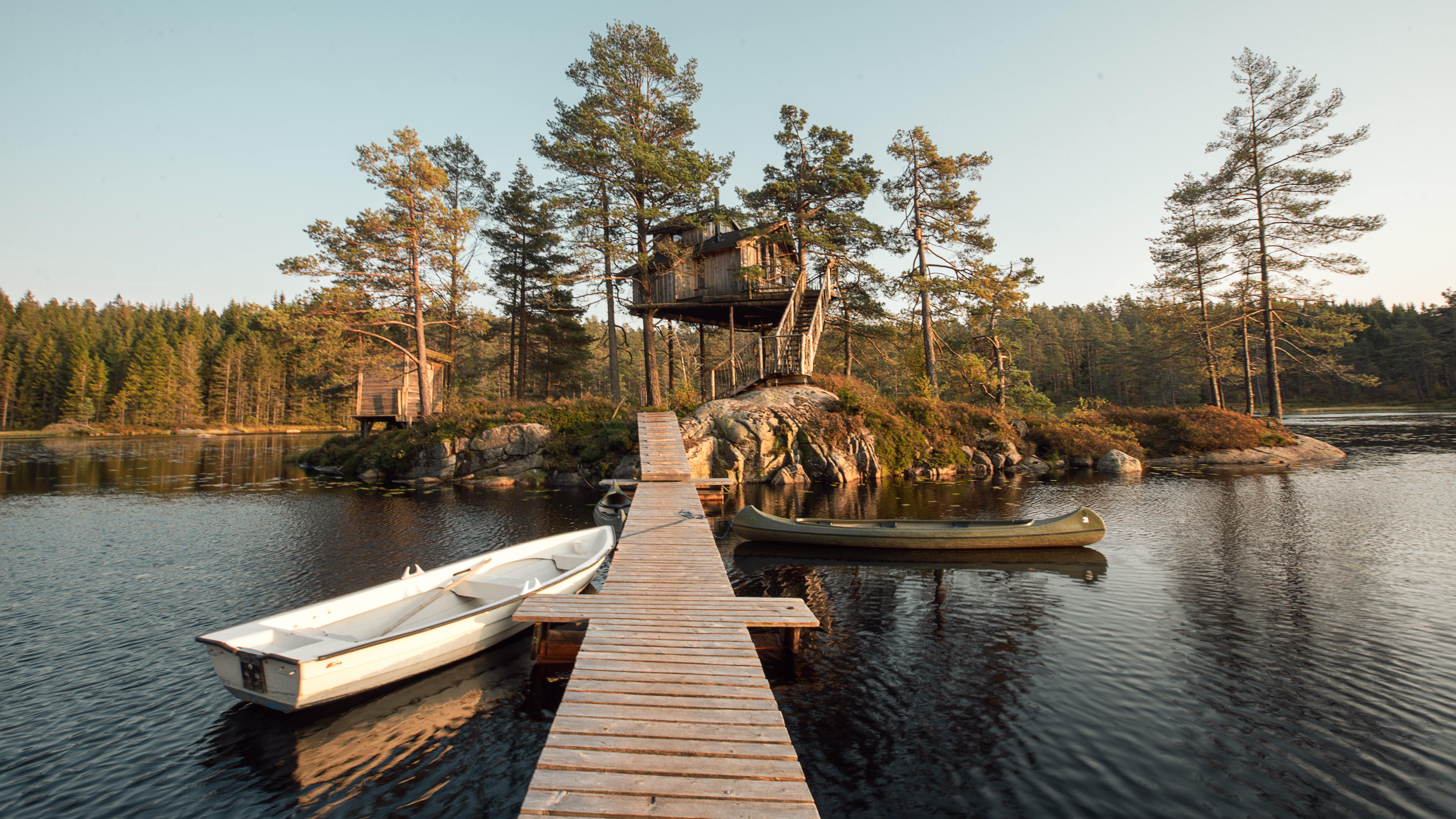 Treetop Island – Your Floating Forest Escape