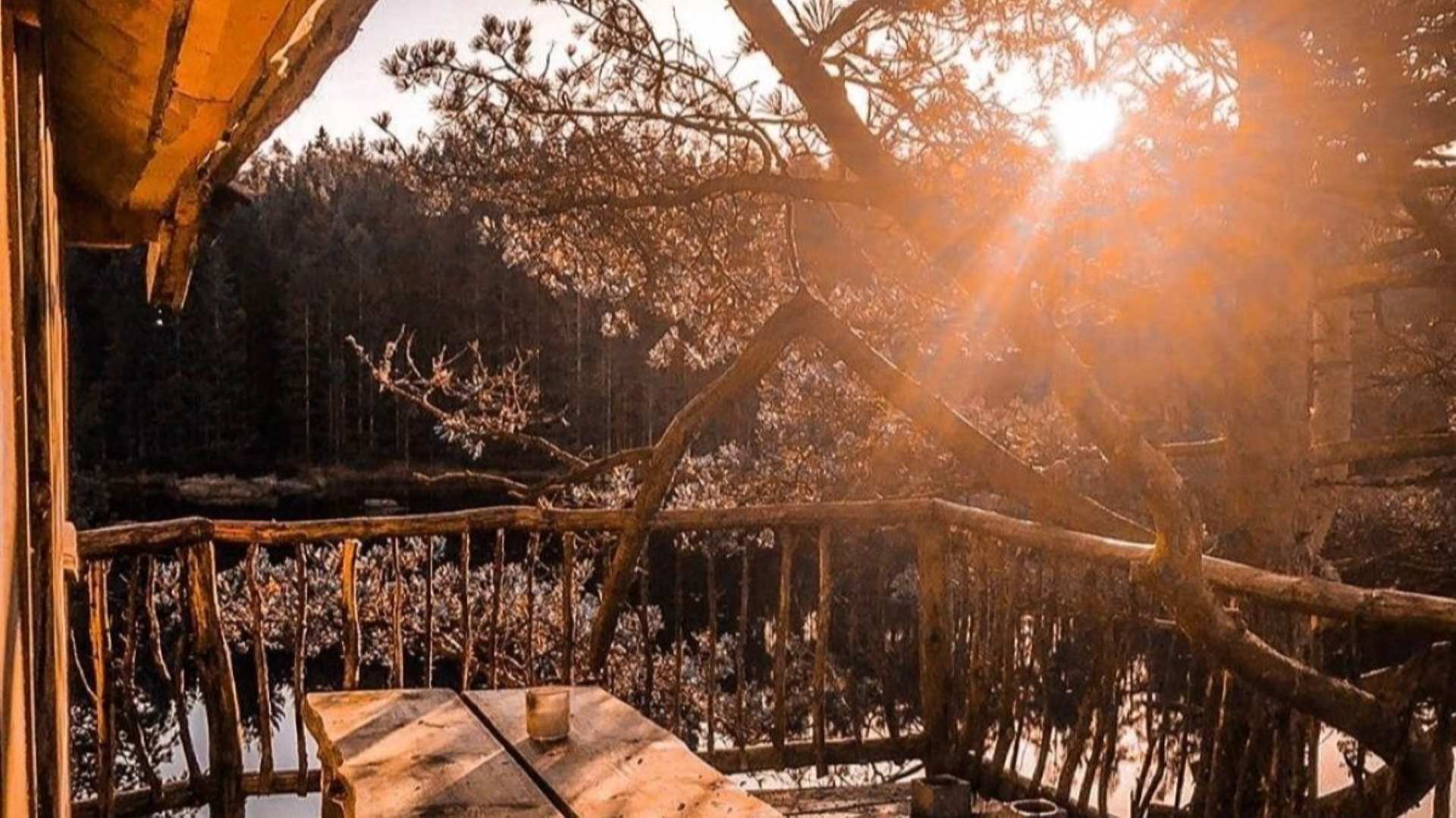 Solnedgang Over Terrasse Med Trebenk På Treetop Island Hos Wild Cabins, Omgitt Av Skog I Varm Kveldssol.